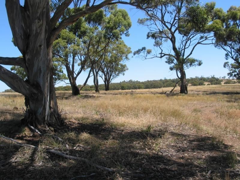 Lot 4 Calder Highway, Woosang VIC 3518