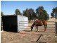 29 McQualters Road, Raywood VIC 3570