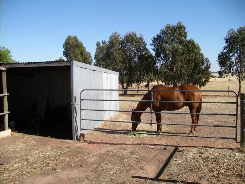 29 McQualters Road, Raywood VIC 3570