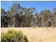 Lot 4 McNamara Drive, Strathfieldsaye VIC 3551