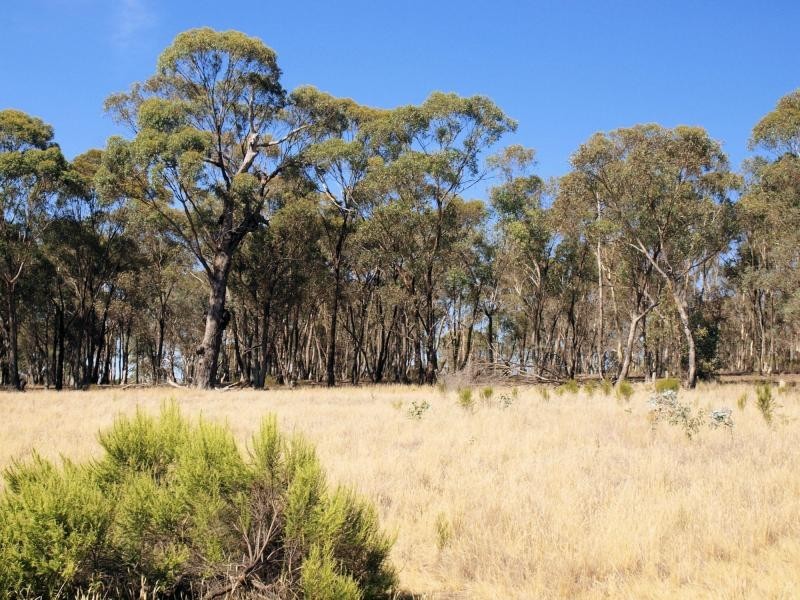 Lot 4 McNamara Drive, Strathfieldsaye VIC 3551