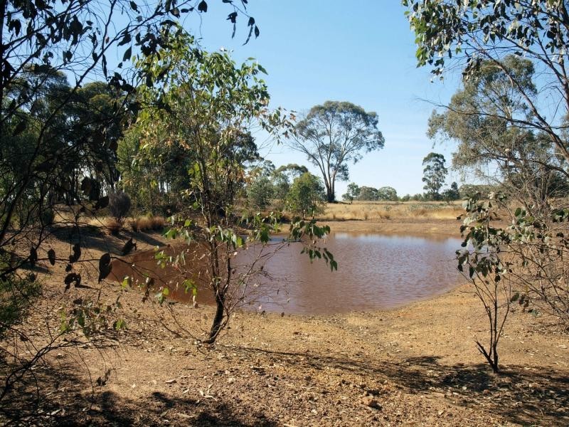 Lot 4 McNamara Drive, Strathfieldsaye VIC 3551
