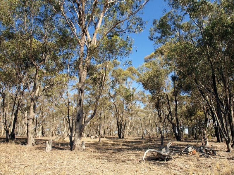 Lot 4 McNamara Drive, Strathfieldsaye VIC 3551