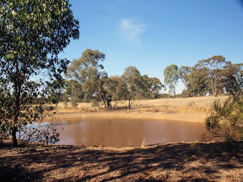Lot 4 McNamara Drive, Strathfieldsaye VIC 3551