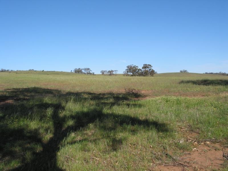 L3 Wedderburn Buckrabanyule Road, Wedderburn VIC 3518