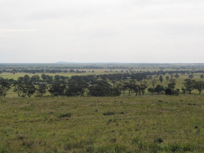 L3 Wedderburn Buckrabanyule Road, Wedderburn VIC 3518