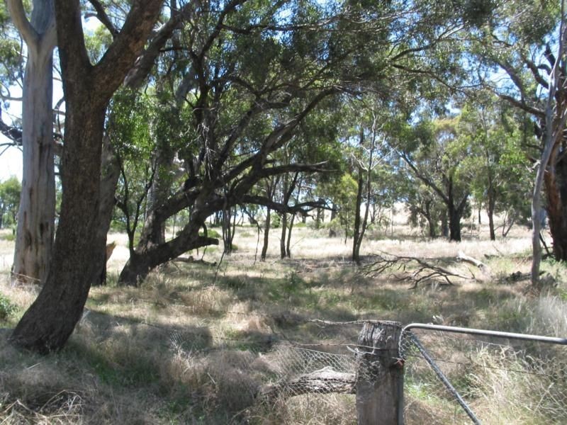 L3 Wedderburn Buckrabanyule Road, Wedderburn VIC 3518