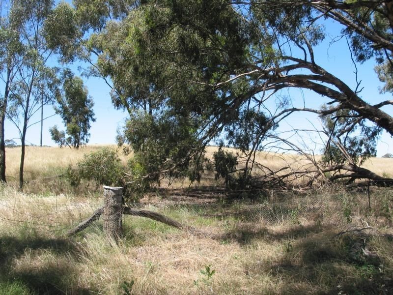 L3 Wedderburn Buckrabanyule Road, Wedderburn VIC 3518