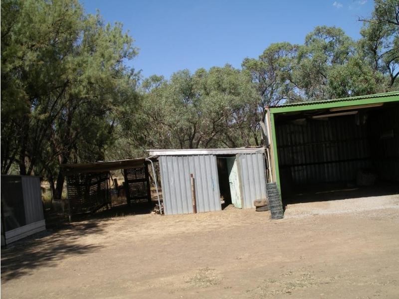 1963 Echuca Serpentine Road, Calivil VIC 3573