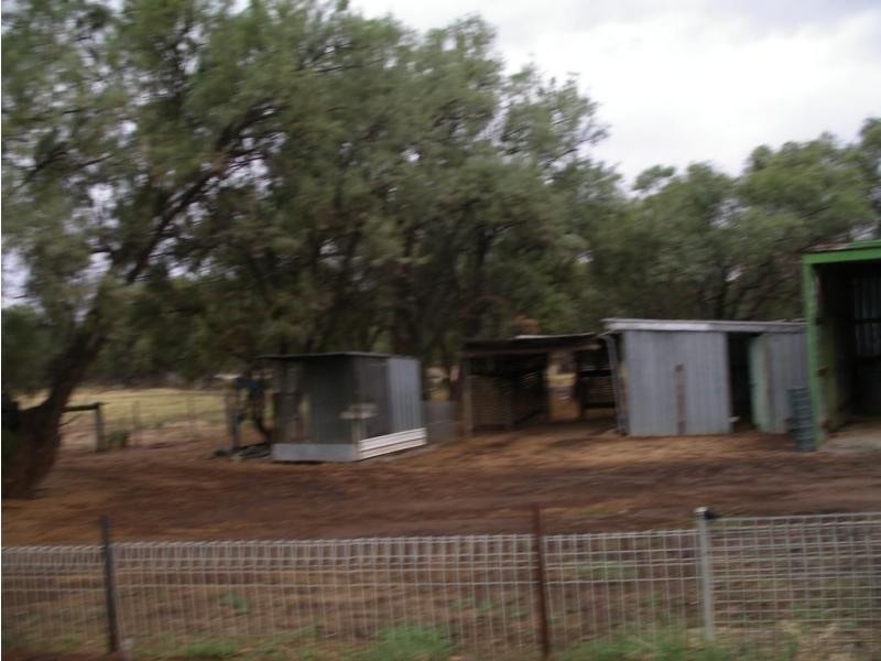 1963 Echuca Serpentine Road, Calivil VIC 3573