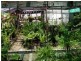 95 Commercial Road, Tarnagulla VIC 3551