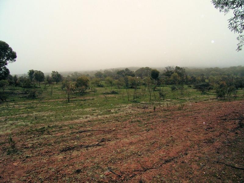 Lot 11 Gibson Road, Wedderburn VIC 3518