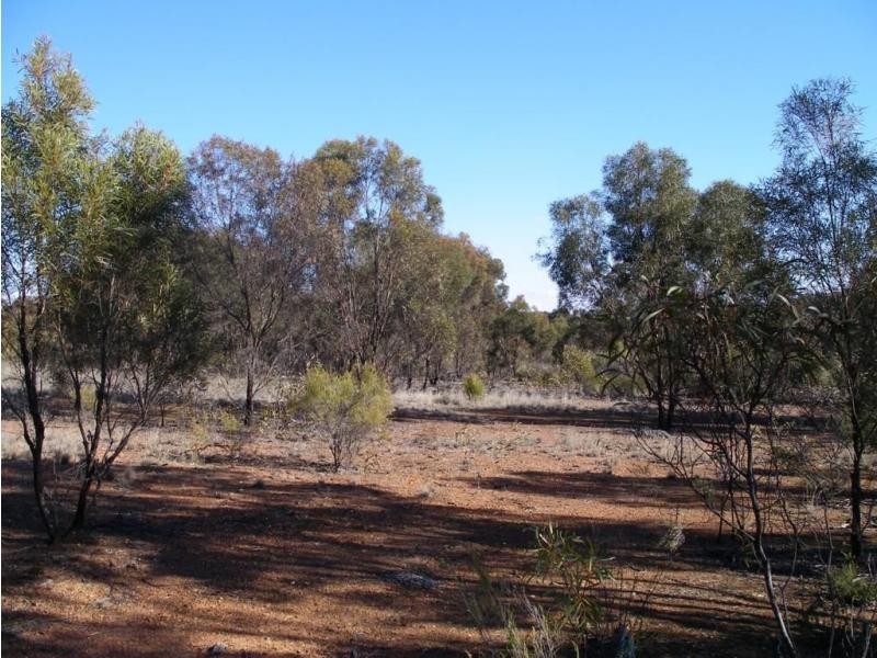 Lot 11 Gibson Road, Wedderburn VIC 3518
