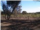 Lot 11 Gibson Road, Wedderburn VIC 3518