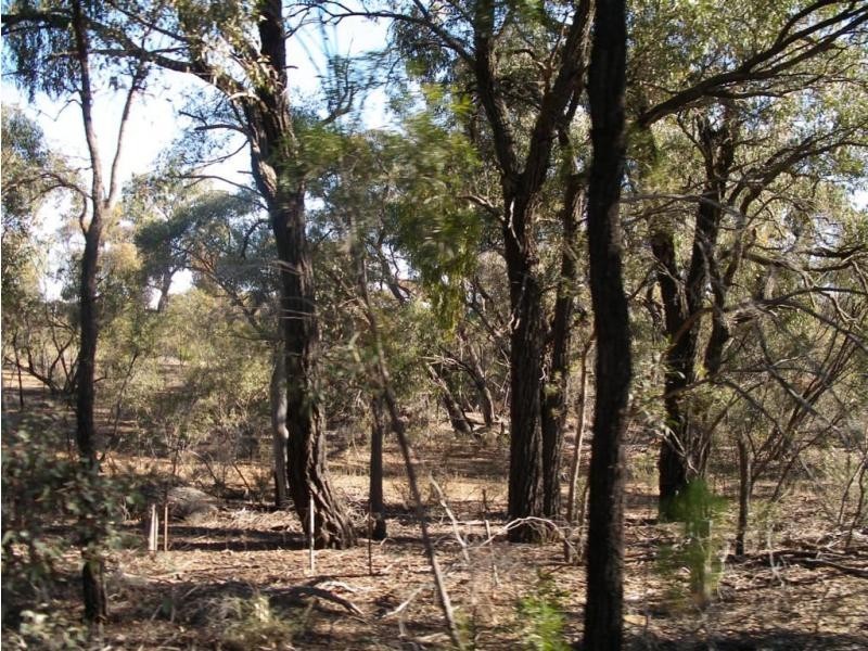 Lot 11 Gibson Road, Wedderburn VIC 3518