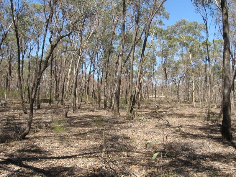 L96W Osterfield Road, Woodvale VIC 3556