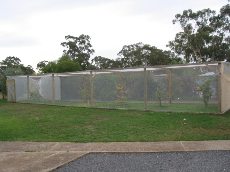 14 Victoria Street, Tarnagulla VIC 3551