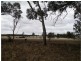 1 Holts Lane, Wedderburn VIC 3518