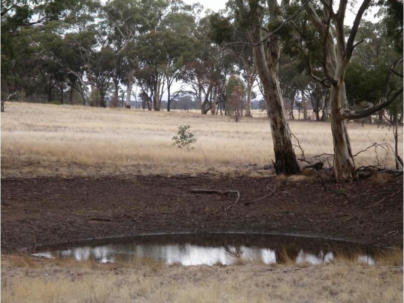 1 Holts Lane, Wedderburn VIC 3518