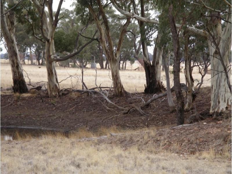 1 Holts Lane, Wedderburn VIC 3518