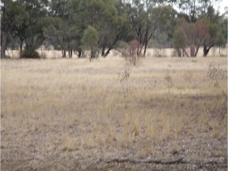 1 Holts Lane, Wedderburn VIC 3518