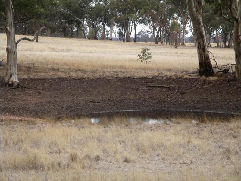 1 Holts Lane, Wedderburn VIC 3518