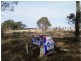 1 Holts Lane, Wedderburn VIC 3518