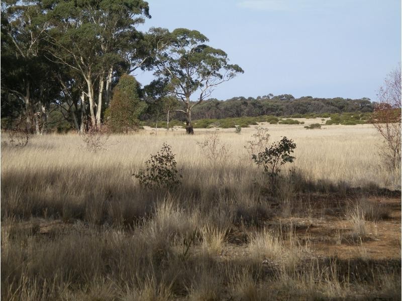1 Holts Lane, Wedderburn VIC 3518