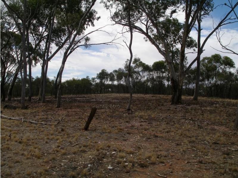 1 Holts Lane, Wedderburn VIC 3518