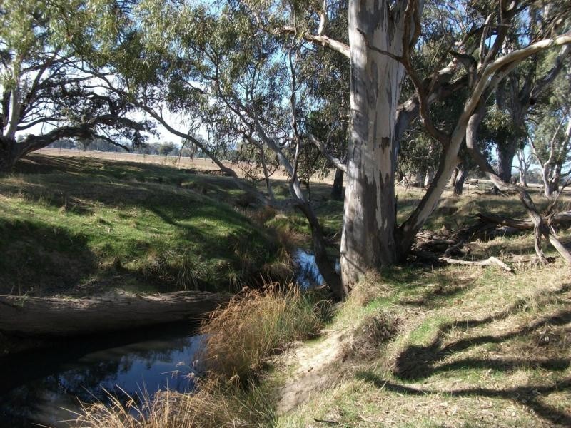 CA 23A, 23B, 24 Murchison-Violet Town Road, Violet Town VIC 3669