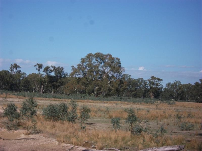 CA 23A, 23B, 24 Murchison-Violet Town Road, Violet Town VIC 3669