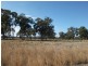 CA 23A, 23B, 24 Murchison-Violet Town Road, Violet Town VIC 3669