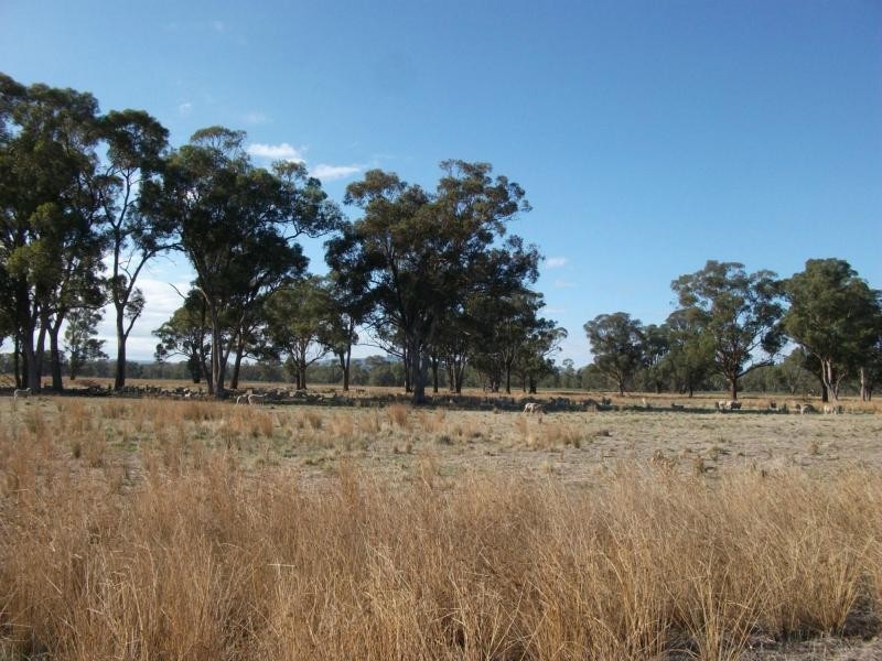 CA 23A, 23B, 24 Murchison-Violet Town Road, Violet Town VIC 3669