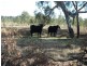 CA 23A, 23B, 24 Murchison-Violet Town Road, Violet Town VIC 3669