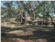 CA 23A, 23B, 24 Murchison-Violet Town Road, Violet Town VIC 3669