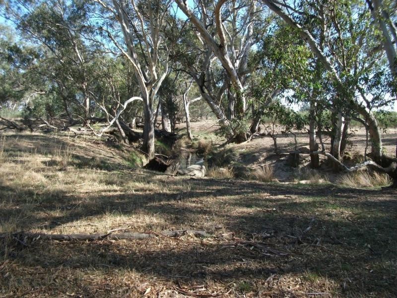 CA 23A, 23B, 24 Murchison-Violet Town Road, Violet Town VIC 3669