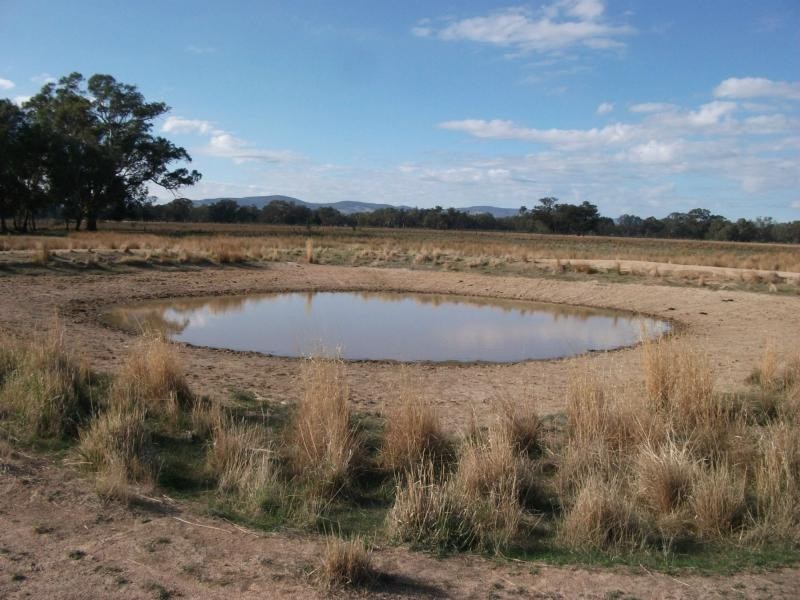 CA 23A, 23B, 24 Murchison-Violet Town Road, Violet Town VIC 3669