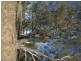 CA 23A, 23B, 24 Murchison-Violet Town Road, Violet Town VIC 3669