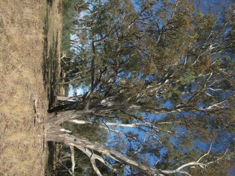 CA 23A, 23B, 24 Murchison-Violet Town Road, Violet Town VIC 3669