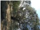 CA 23A, 23B, 24 Murchison-Violet Town Road, Violet Town VIC 3669