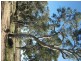 CA 23A, 23B, 24 Murchison-Violet Town Road, Violet Town VIC 3669