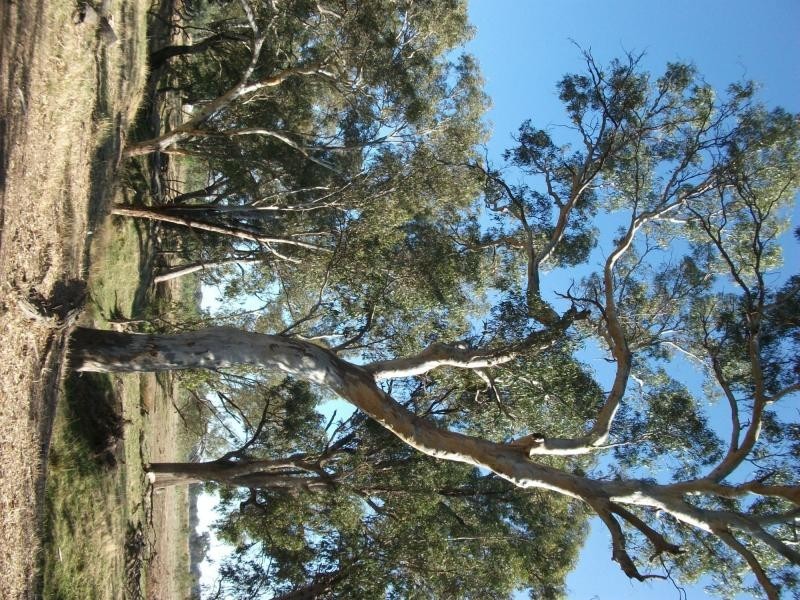 CA 23A, 23B, 24 Murchison-Violet Town Road, Violet Town VIC 3669