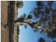 CA 23A, 23B, 24 Murchison-Violet Town Road, Violet Town VIC 3669