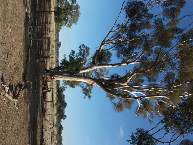 CA 23A, 23B, 24 Murchison-Violet Town Road, Violet Town VIC 3669