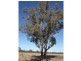 CA 23A, 23B, 24 Murchison-Violet Town Road, Violet Town VIC 3669