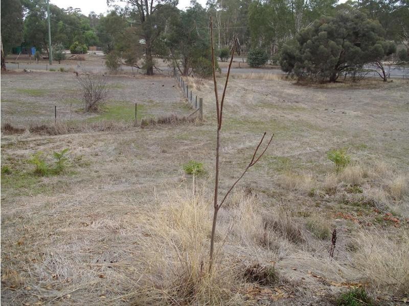 6 Ridge Street, Wedderburn VIC 3518