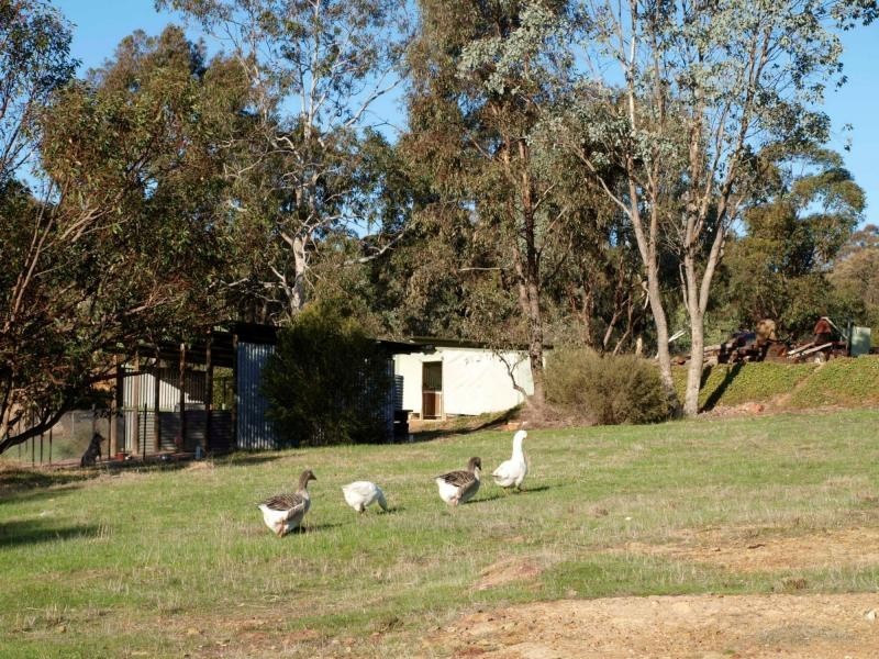 12 Frawley Lane, Strathfieldsaye VIC 3551