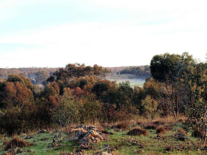 12 Frawley Lane, Strathfieldsaye VIC 3551