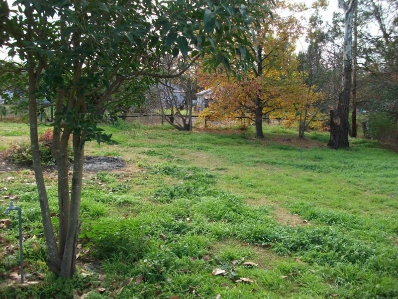 9 Cowslip St, Violet Town VIC 3669