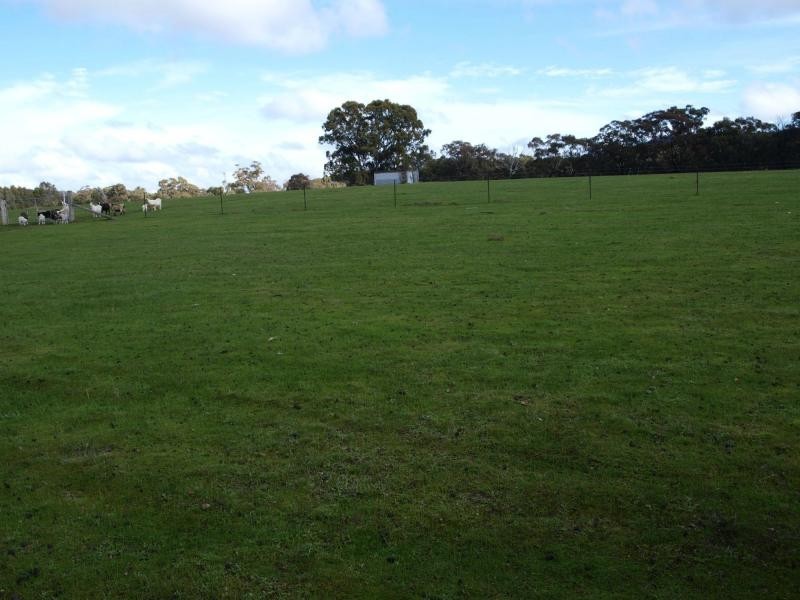 Lot 7 Plantation Road, Heathcote VIC 3523